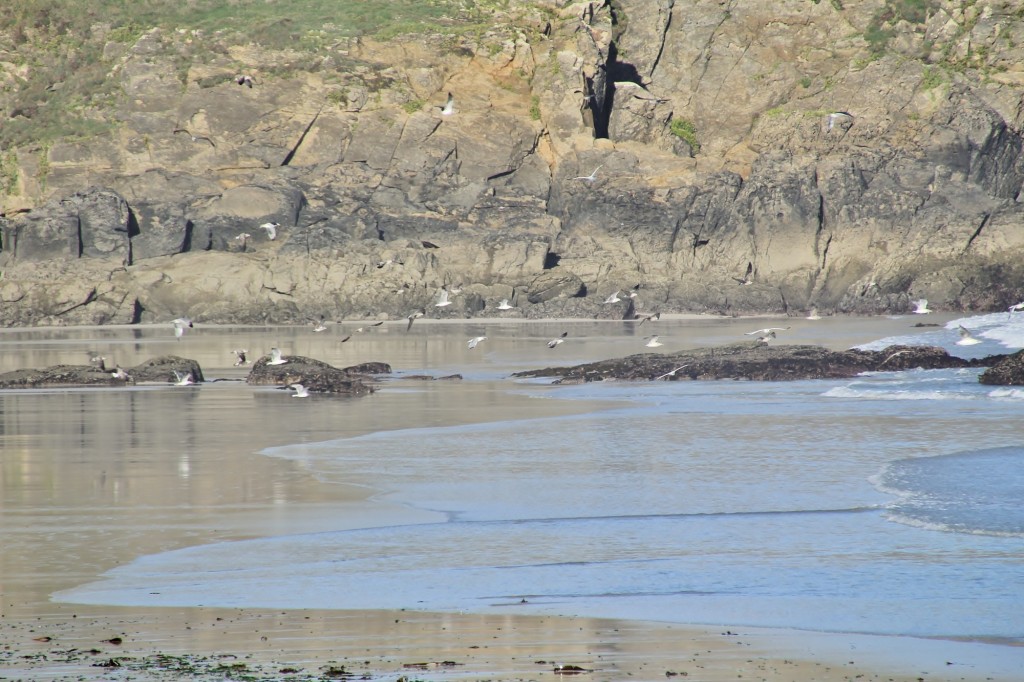 Foto: Playa de Area Maior - Malpica (A Coruña), España