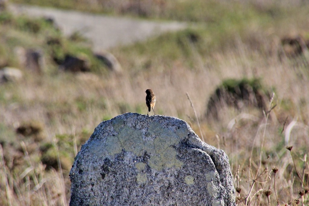 Foto: Playa de los Cristales - Laxe (A Coruña), España