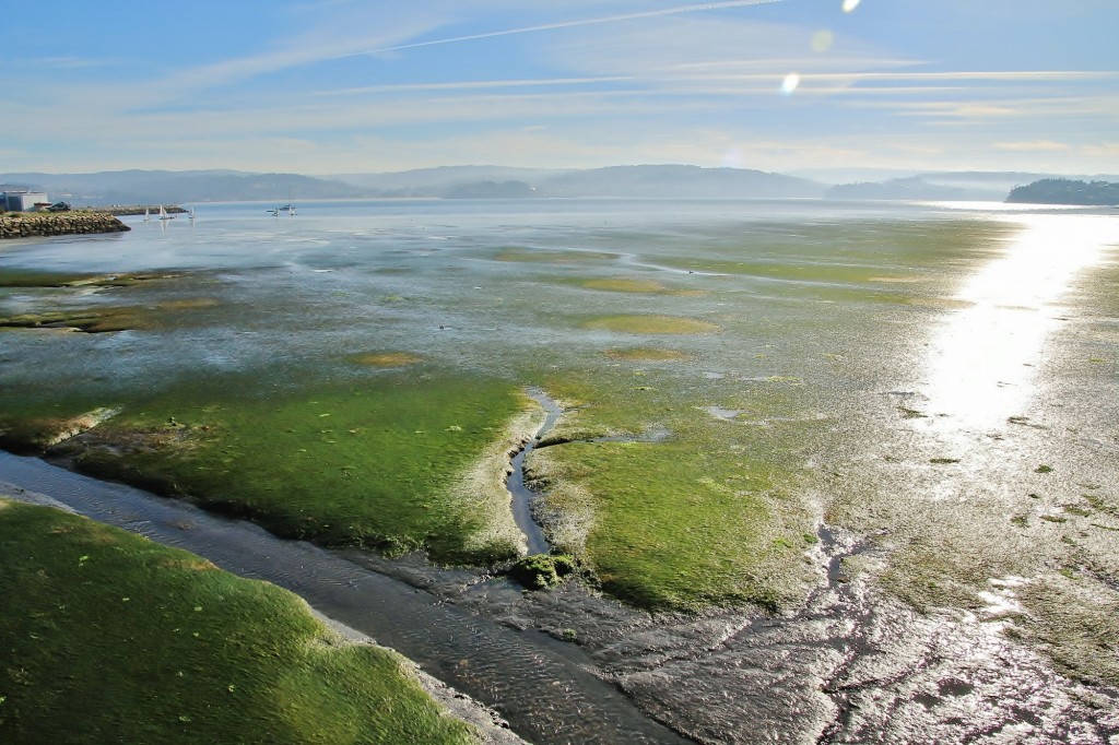 Foto: Playa - Sada (A Coruña), España