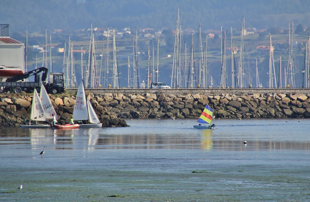 Foto: Playa - Sada (A Coruña), España