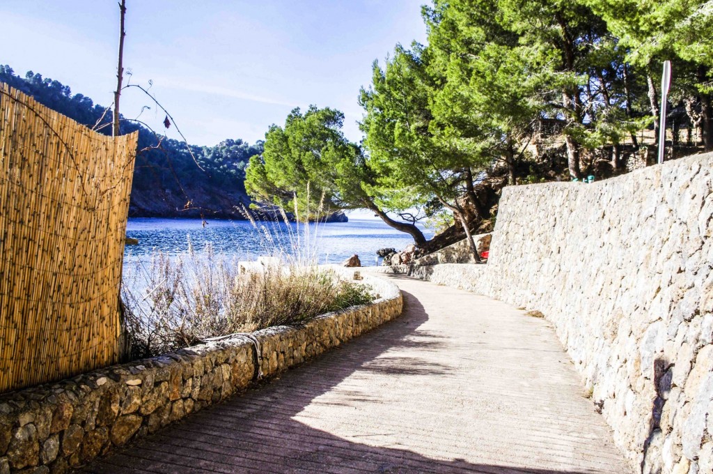 Foto: Camino de bajada al Puerto - Escorca (Cala tuent ) (Illes Balears), España
