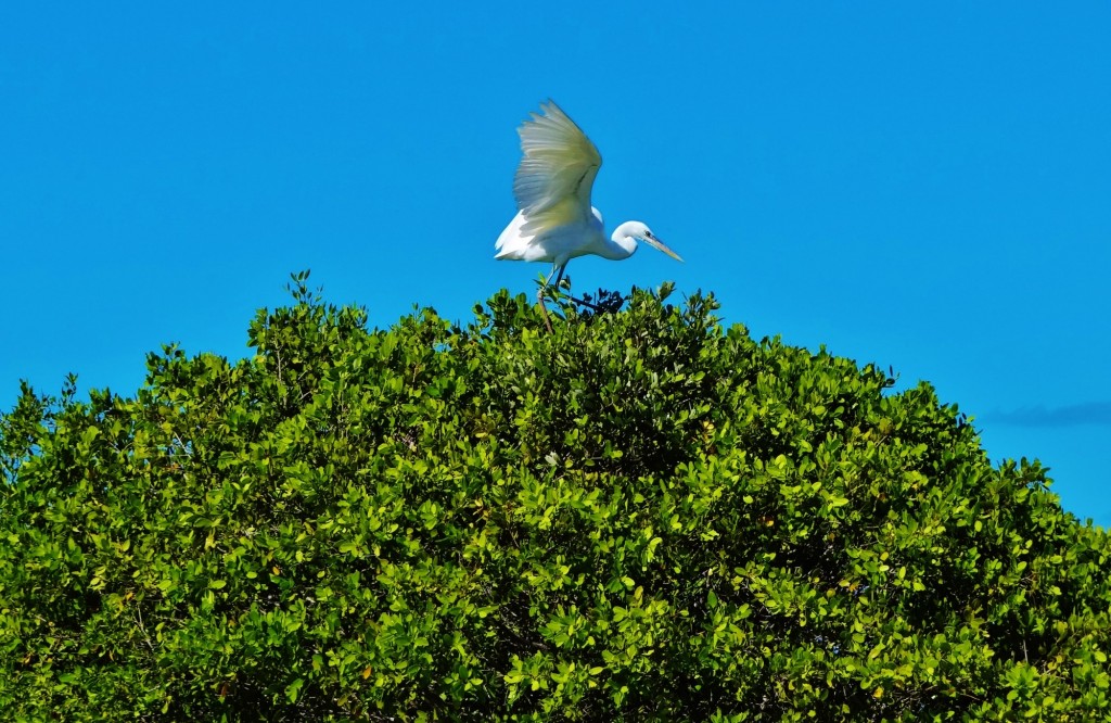 Foto: Isla Pasión - Isla Pasión (Quintana Roo), México