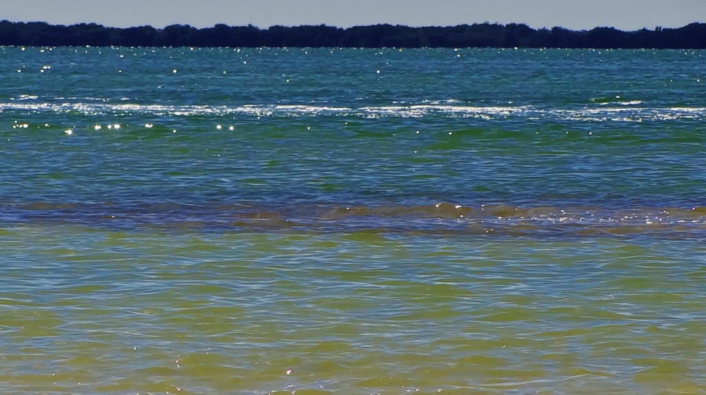 Foto: Isla Pasión - Isla Pasión (Quintana Roo), México