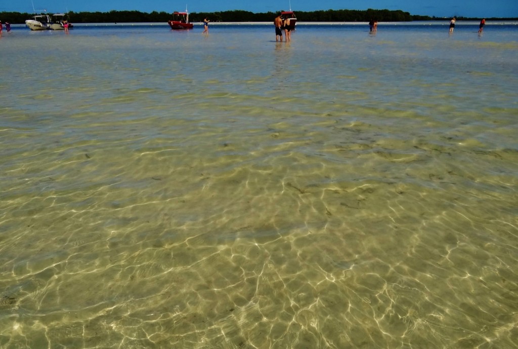 Foto: Isla Pasión - Isla Pasión (Quintana Roo), México