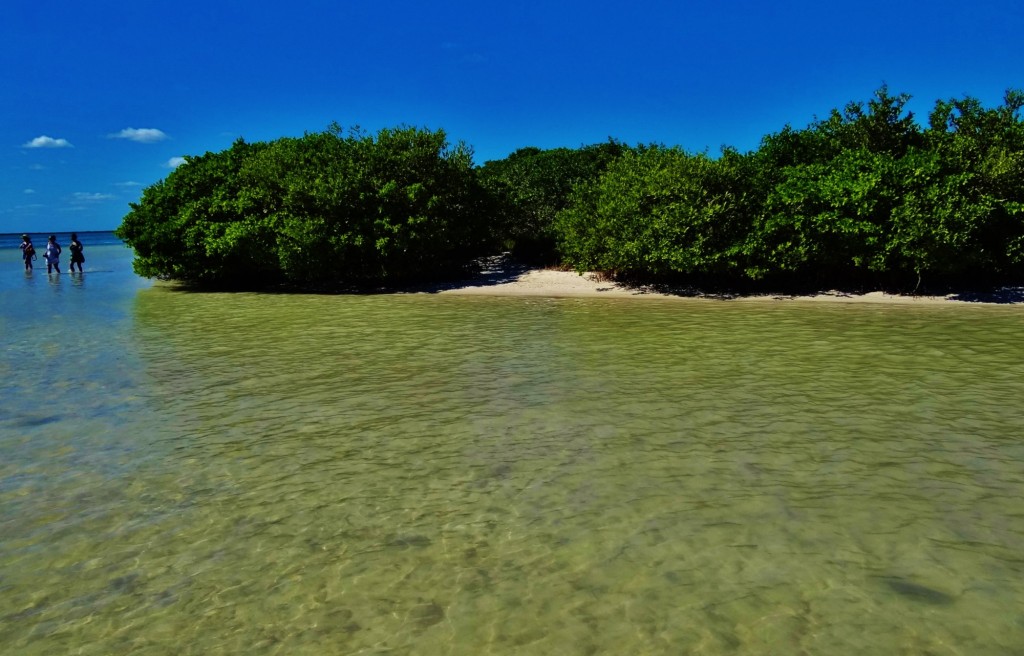 Foto: Isla Pasión - Isla Pasión (Quintana Roo), México
