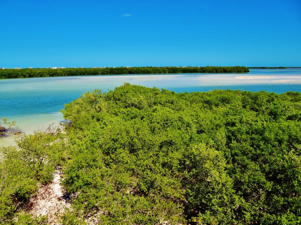 Foto: Isla Pasión - Isla Pasión (Quintana Roo), México