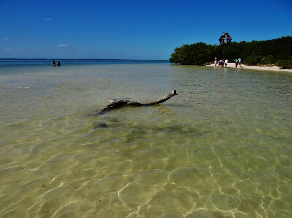 Foto: Isla Pasión - Isla Pasión (Quintana Roo), México
