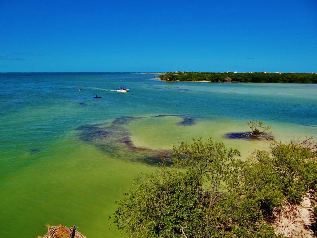 Foto: Isla Pasión - Isla Pasión (Quintana Roo), México
