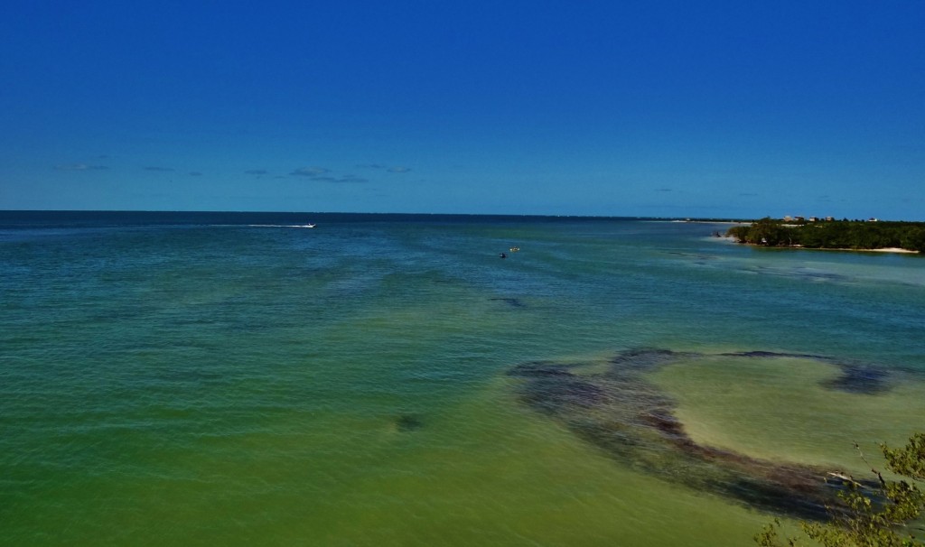Foto: Isla Pasión - Isla Pasión (Quintana Roo), México
