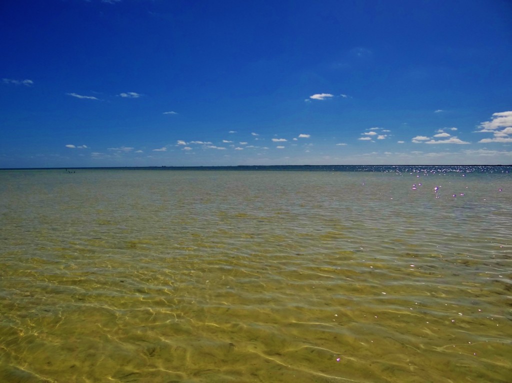 Foto: Isla Pasión - Isla Pasión (Quintana Roo), México