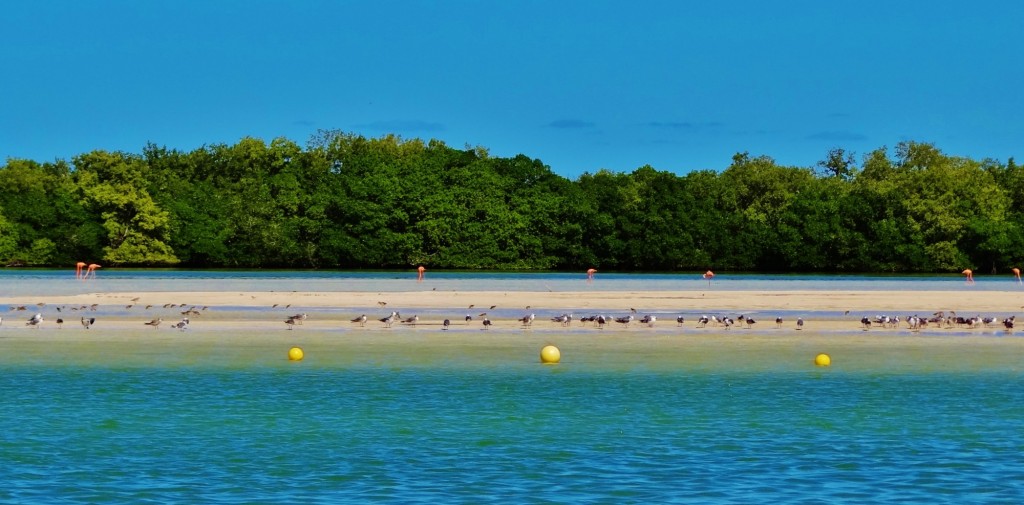 Foto: Isla Pasión - Isla Pasión (Quintana Roo), México