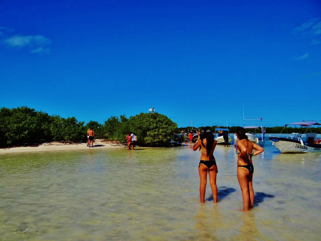 Foto: Isla Pasión - Isla Pasión (Quintana Roo), México