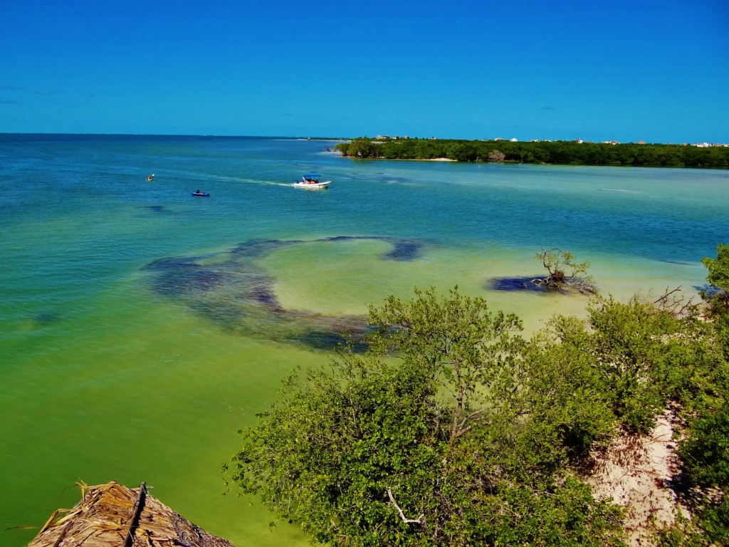 Foto: Isla Pasión - Isla Pasión (Quintana Roo), México