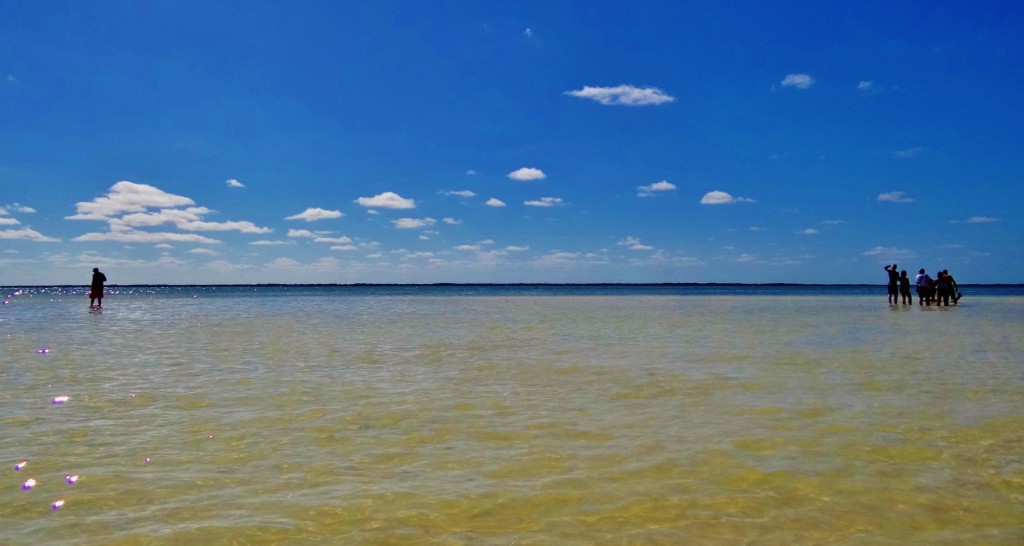 Foto: Isla Pasión - Isla Pasión (Quintana Roo), México