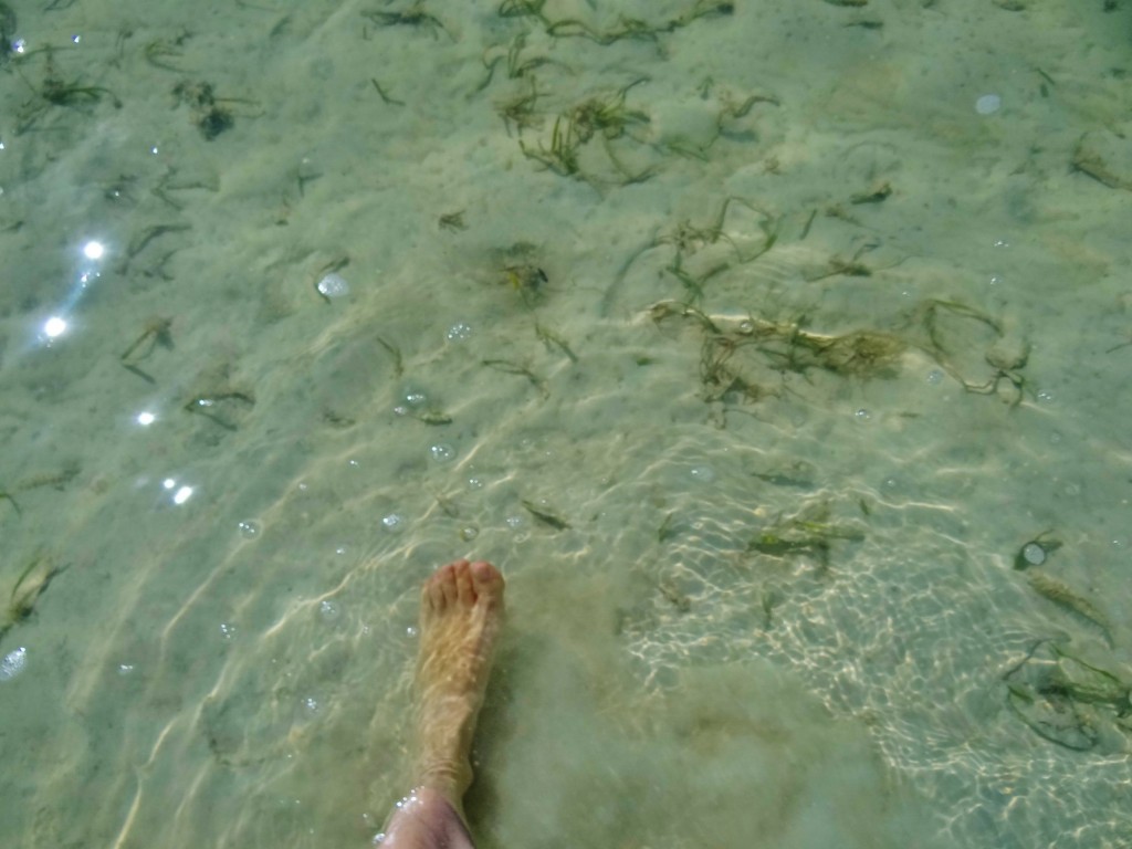 Foto: Isla Pasión - Isla Pasión (Quintana Roo), México