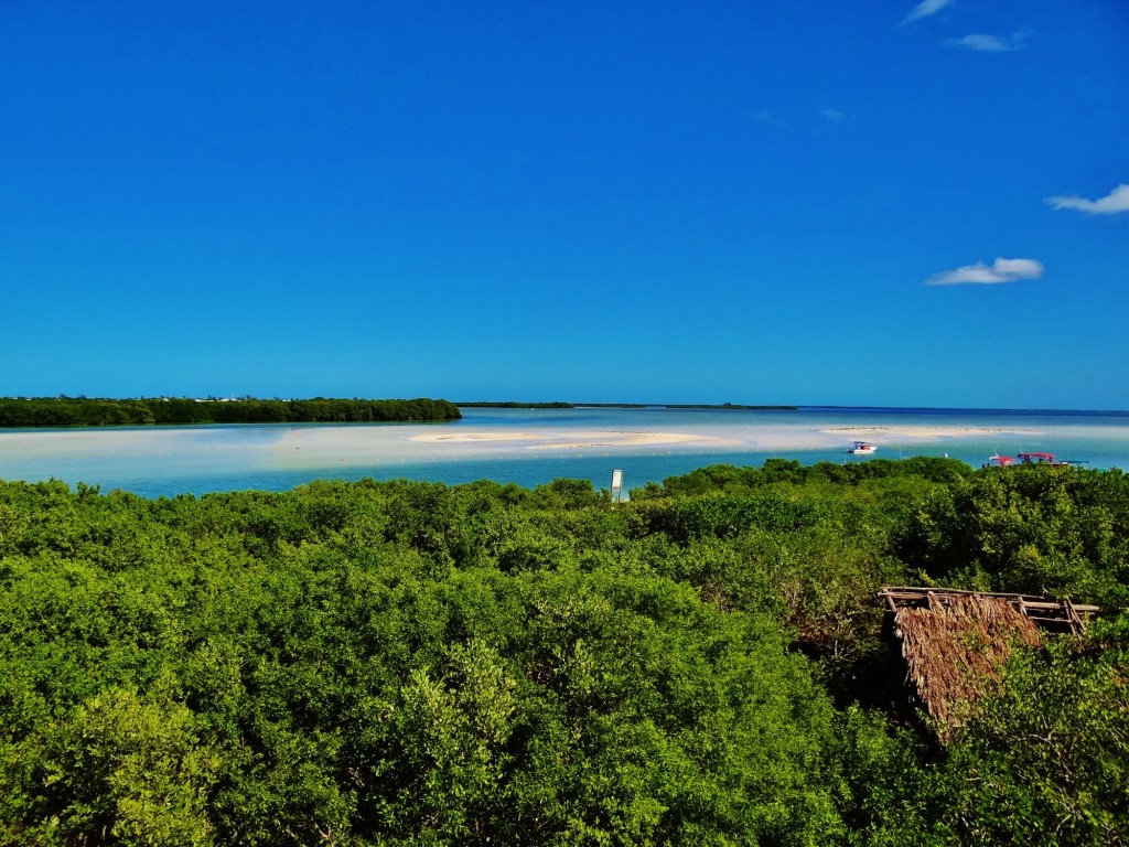 Foto: Isla Pasión - Isla Pasión (Quintana Roo), México