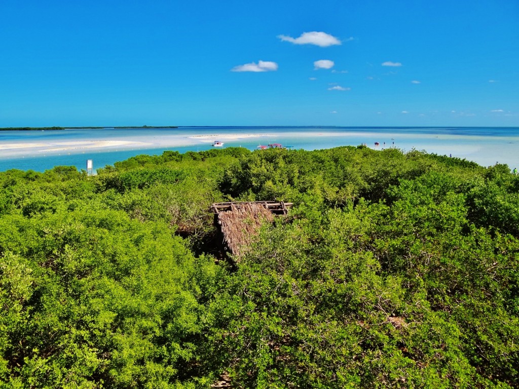 Foto: Isla Pasión - Isla Pasión (Quintana Roo), México