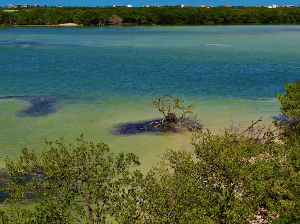 Foto: Isla Pasión - Isla Pasión (Quintana Roo), México