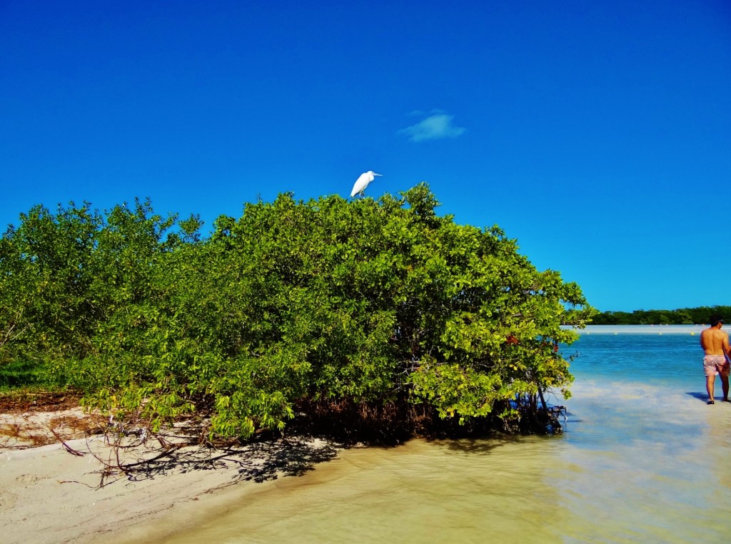Foto: Isla Pasión - Isla Pasión (Quintana Roo), México