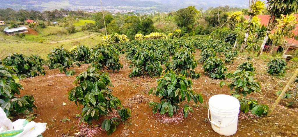 Foto de Turrialba (Cartago), Costa Rica
