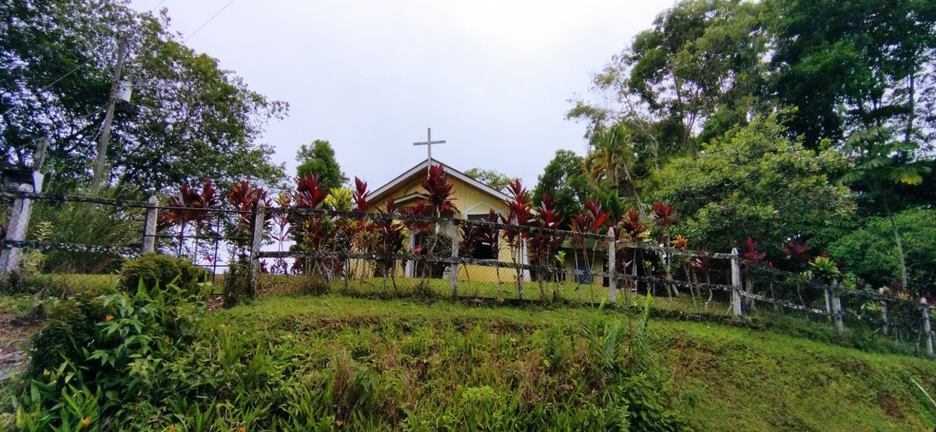 Foto de Altamira Valle de la Estrella (Limón), Costa Rica
