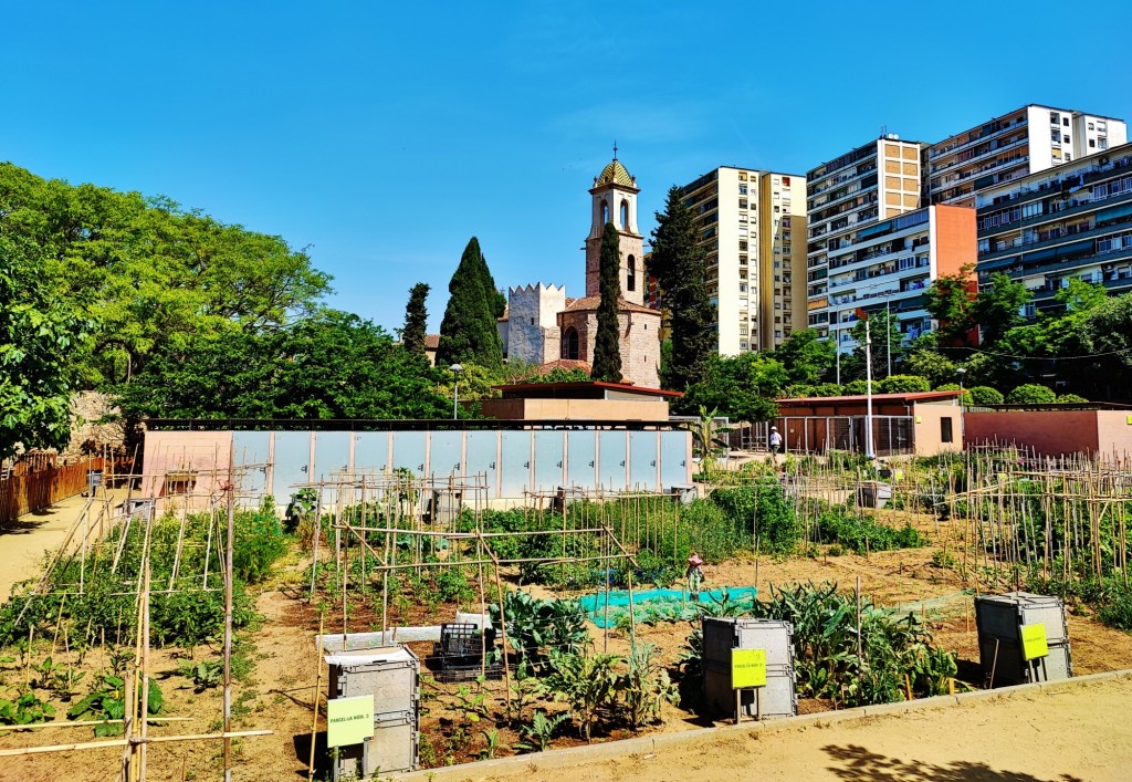 Foto: Església de Sant Martí de Provençals - Barcelona (Cataluña), España
