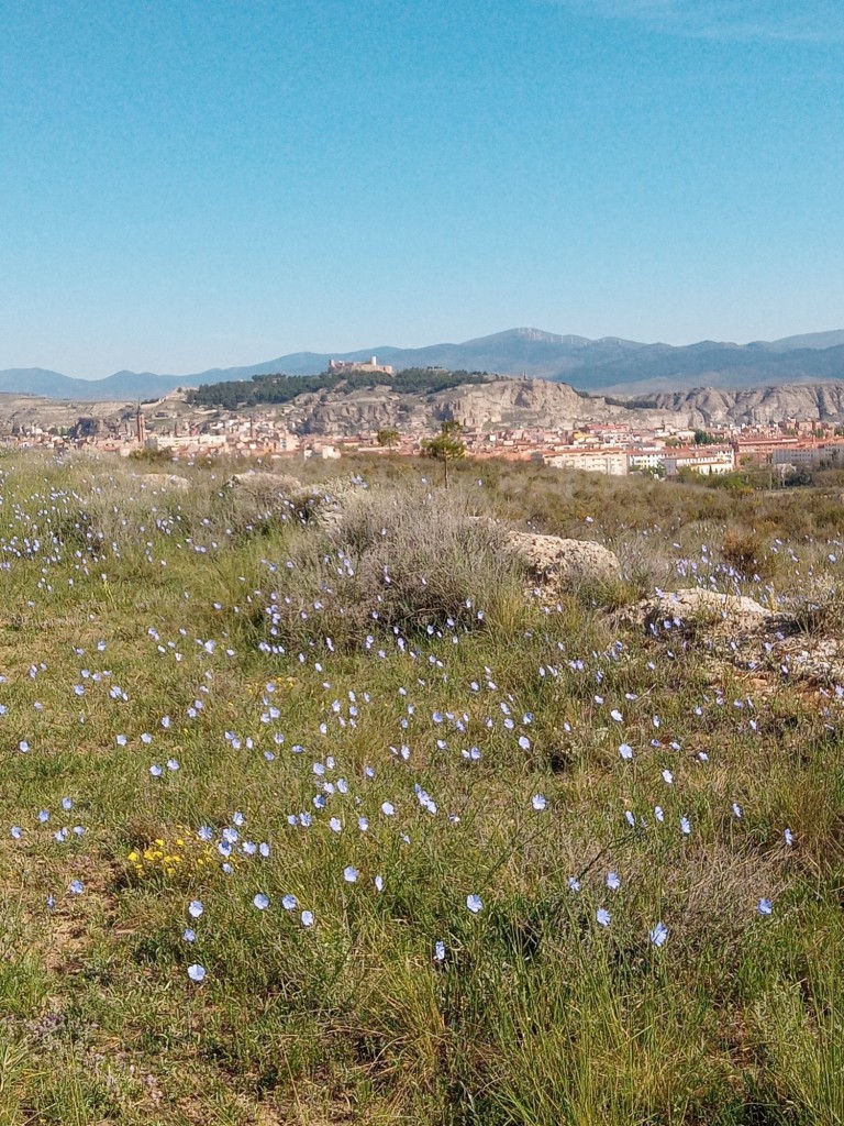Foto: Primavera 2022 - Calatayud (Zaragoza), España