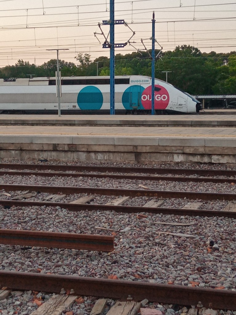 Foto: Tren Ouigo estacionado por incidencia - Calatayud (Zaragoza), España