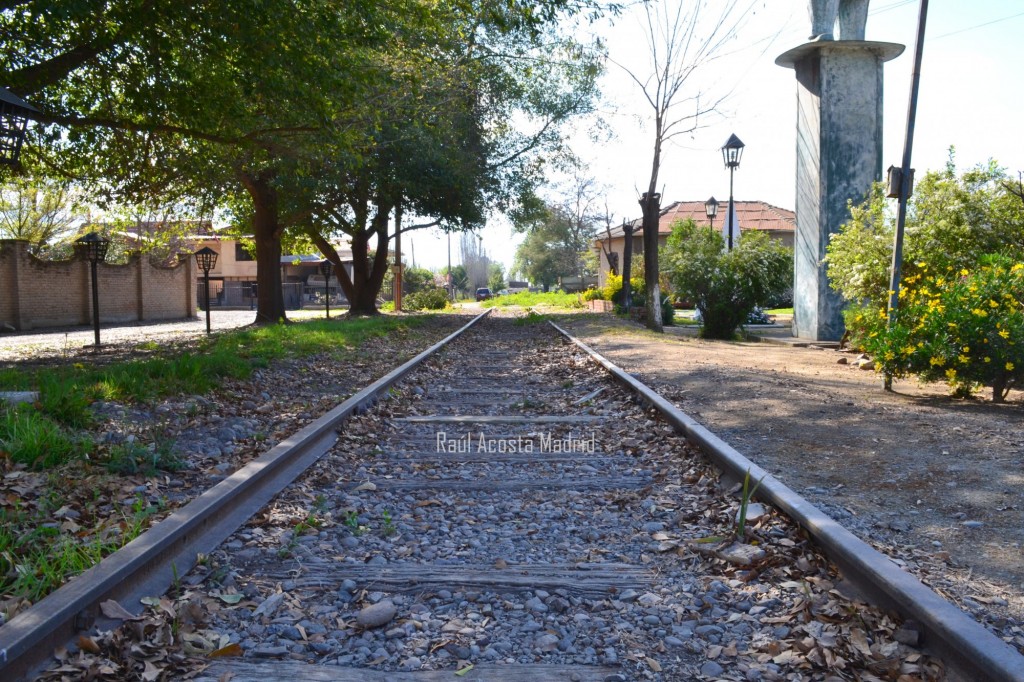 Foto de Palmilla (Libertador General Bernardo OʼHiggins), Chile