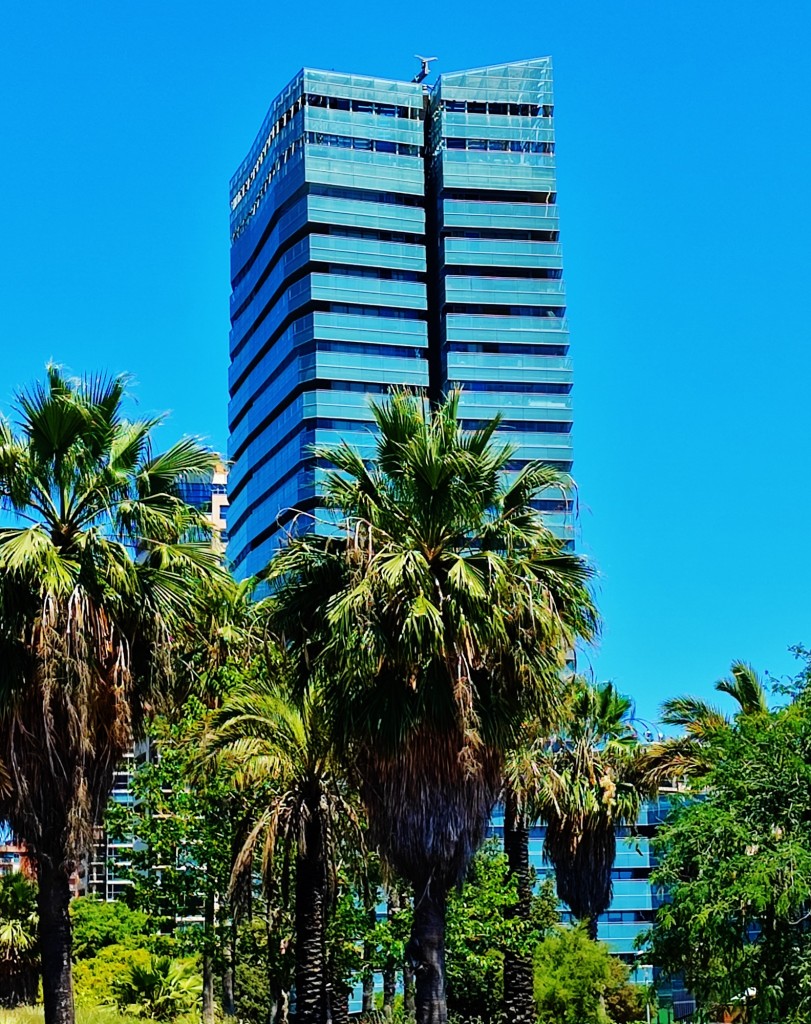 Foto: Passeig del Taulat - Barcelona (Cataluña), España