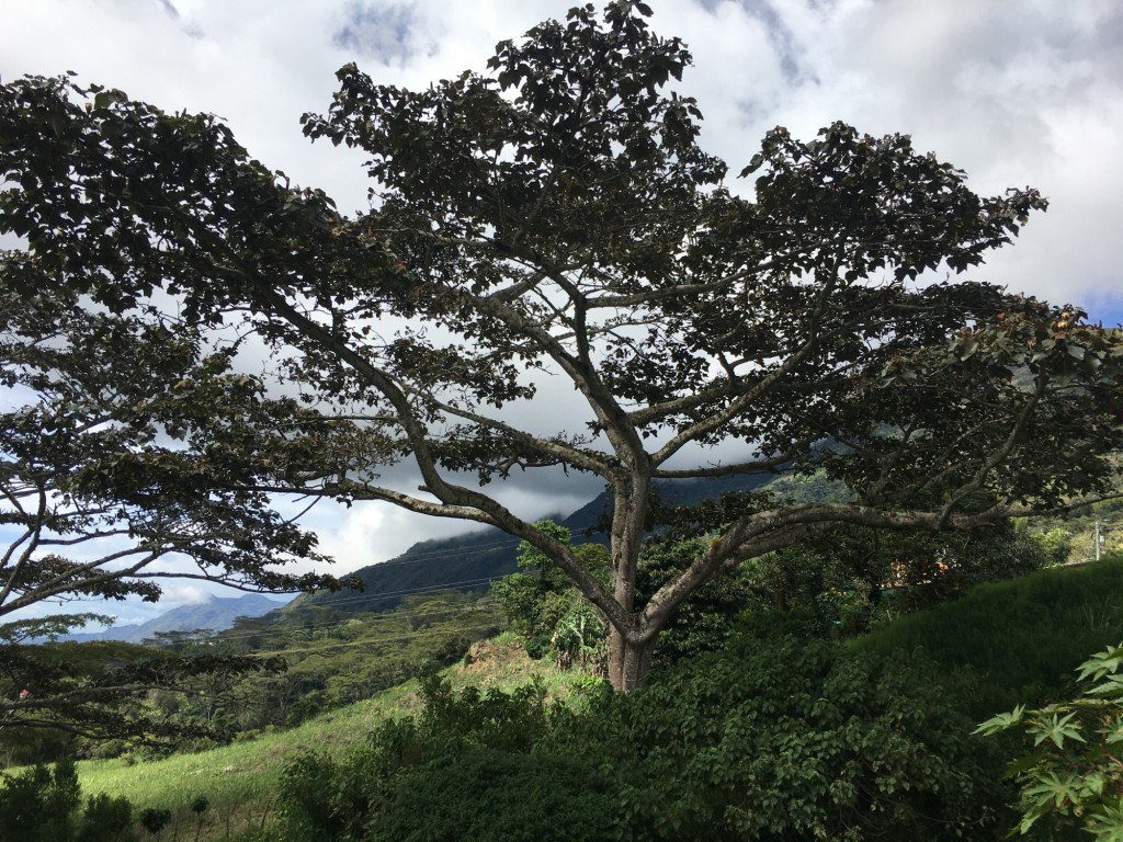 Foto de Peñol (Nariño), Colombia