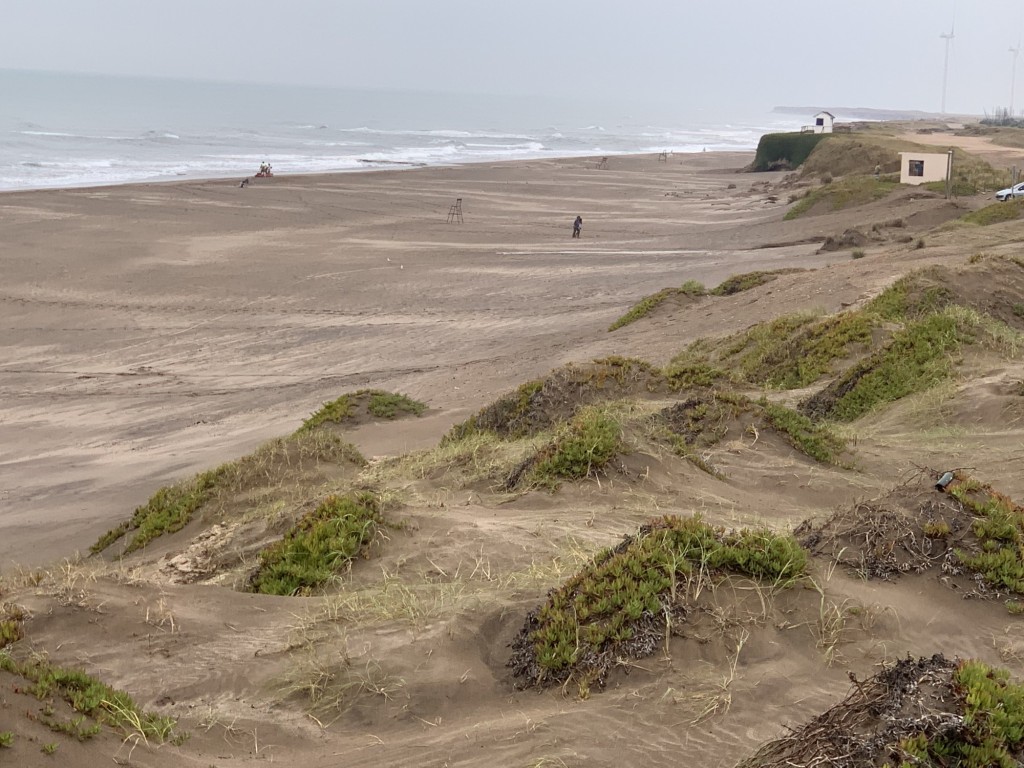 Foto de Necochea (Buenos Aires), Argentina