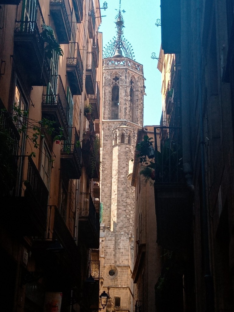 Foto: La Catedral - Barcelona (Cataluña), España