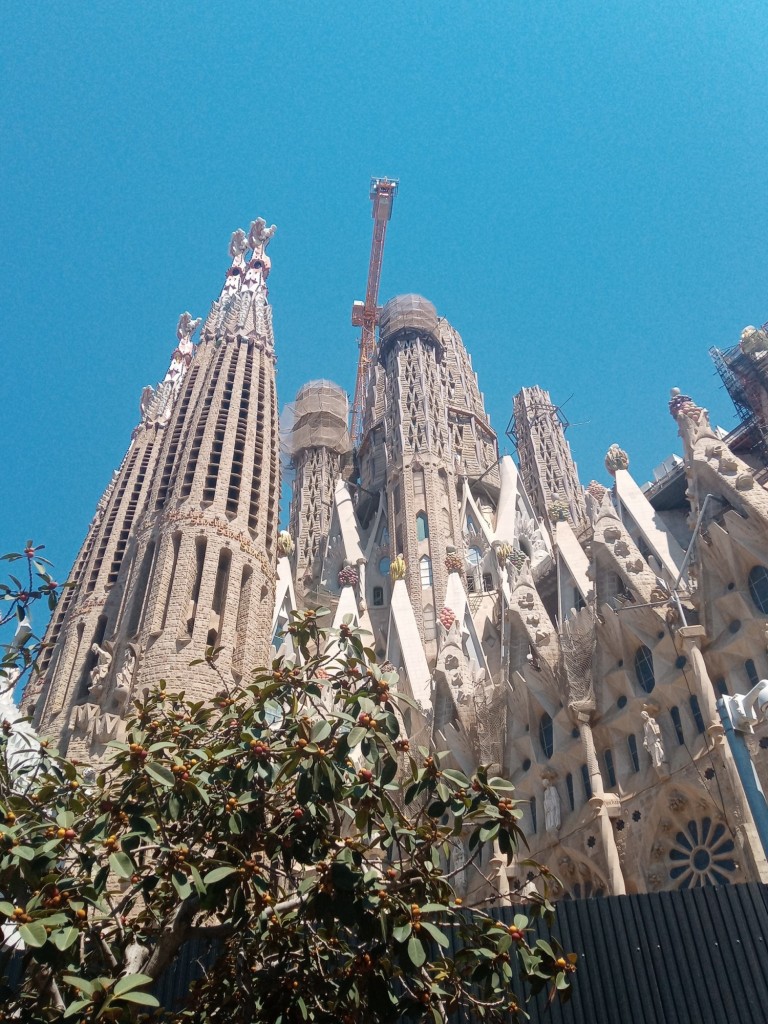 Foto: Temple Expiatorí de la Sagrada Familia - Barcelona (Cataluña), España