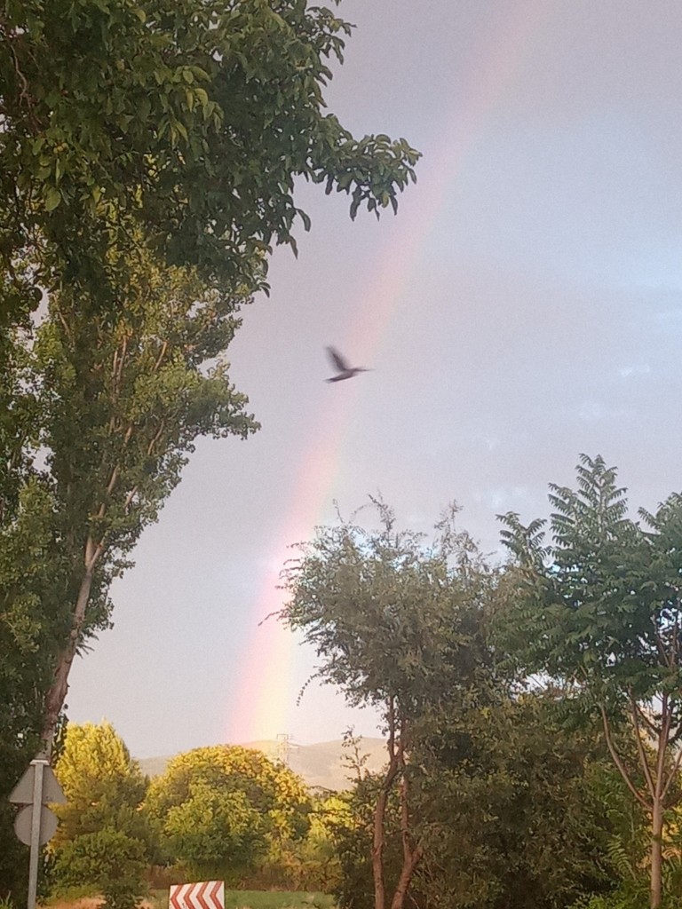 Foto: Agosto 2022 - Calatayud (Zaragoza), España