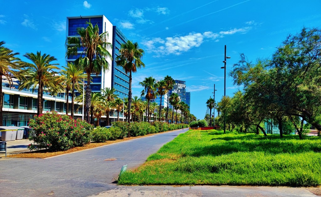 Foto: Passeig de Garcia Fària - Barcelona (Cataluña), España