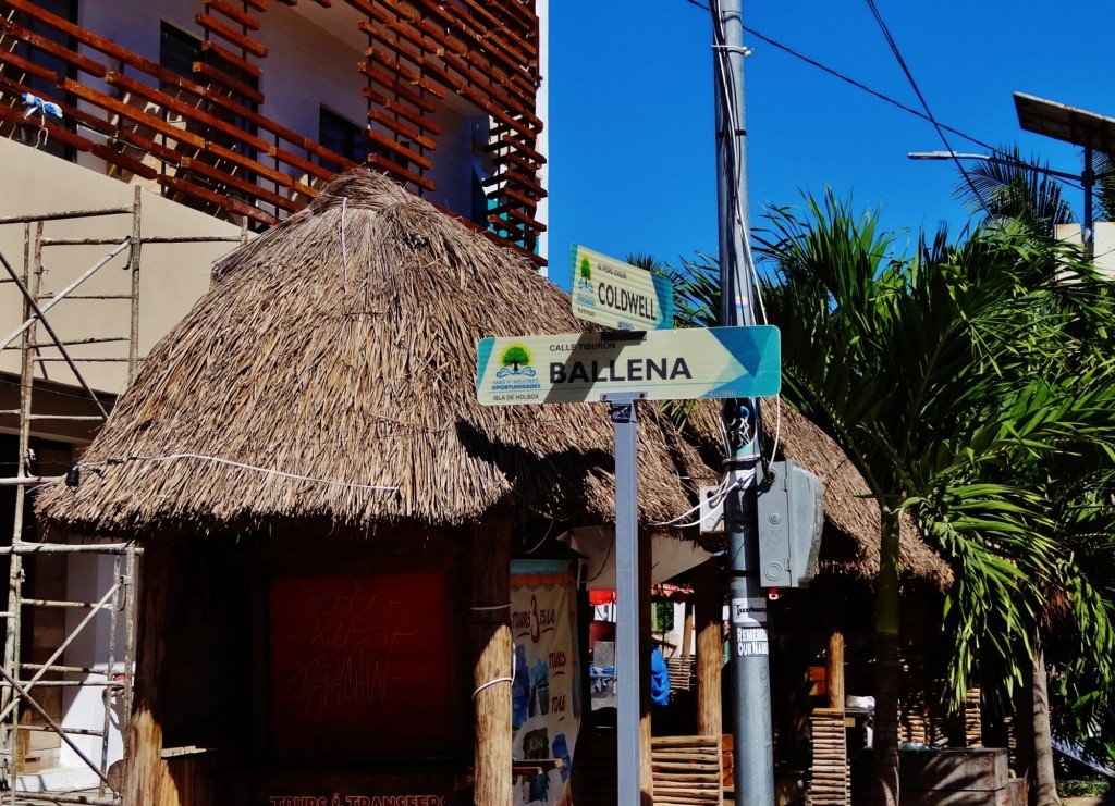 Foto: Holbox - Holbox (Quintana Roo), México