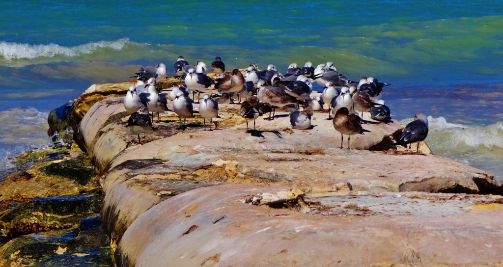 Foto: Holbox - Holbox (Quintana Roo), México