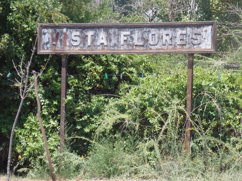 Foto: ex estación del FC San Martín - Vista Flores (Mendoza), Argentina