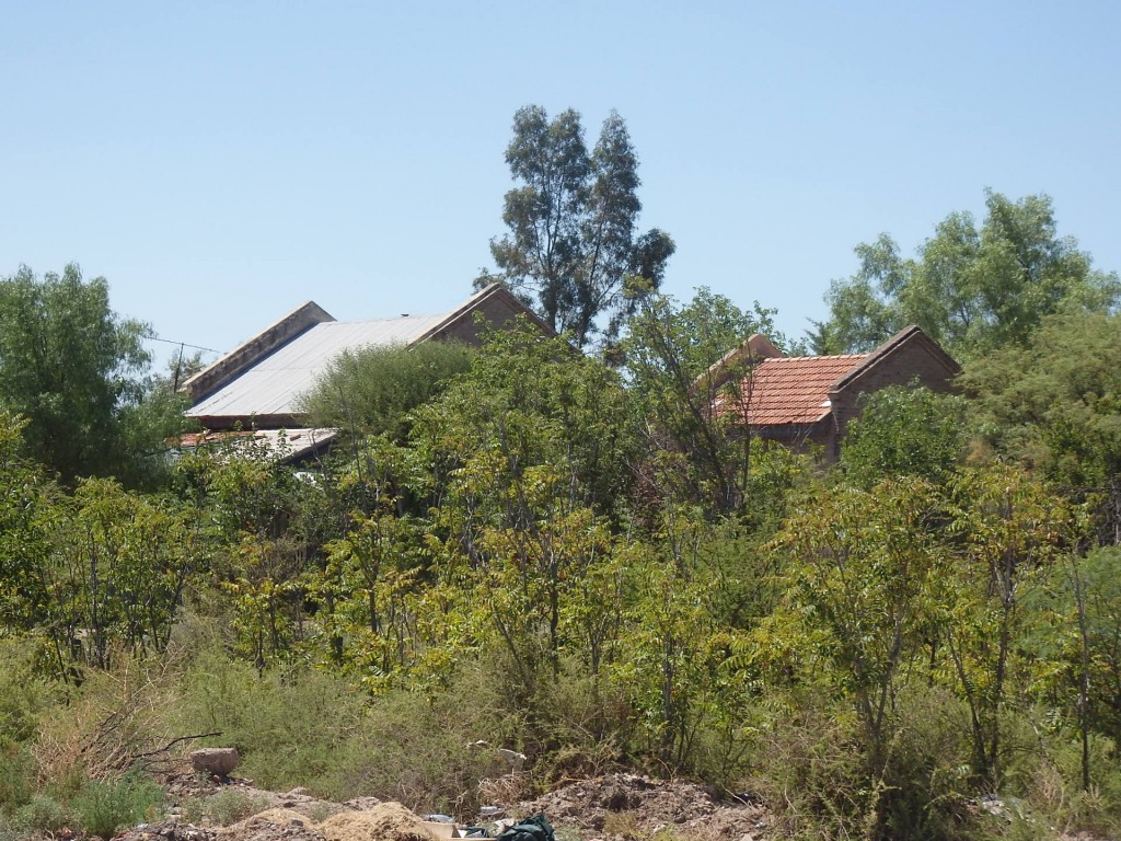 Foto: ex estación del FC San Martín - Medrano (Mendoza), Argentina