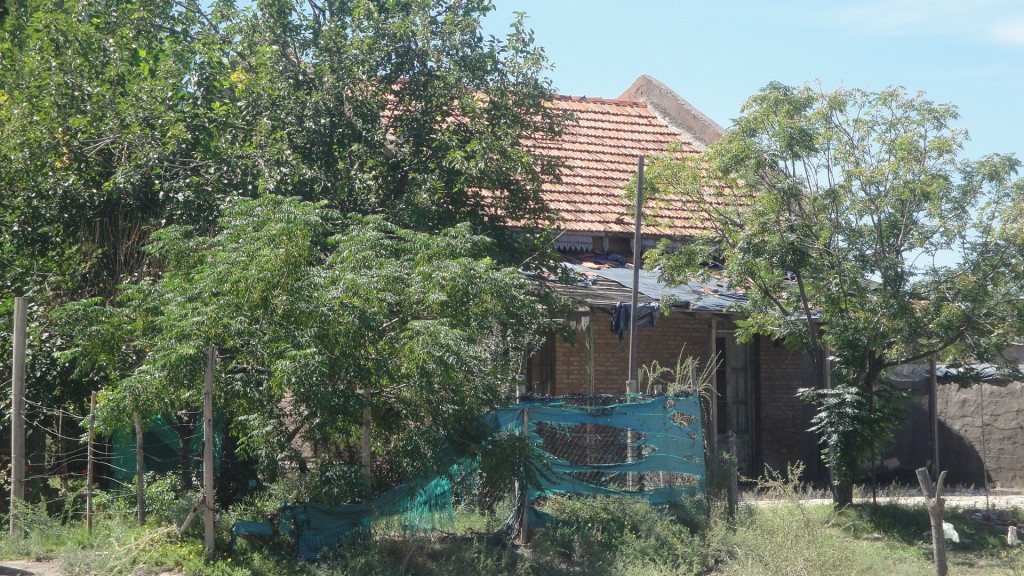 Foto: ex estación del FC San Martín - Andrade (Mendoza), Argentina