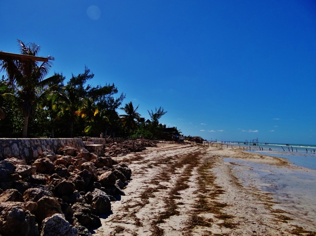 Foto: Playa Holbox - Holbox (Quintana Roo), México
