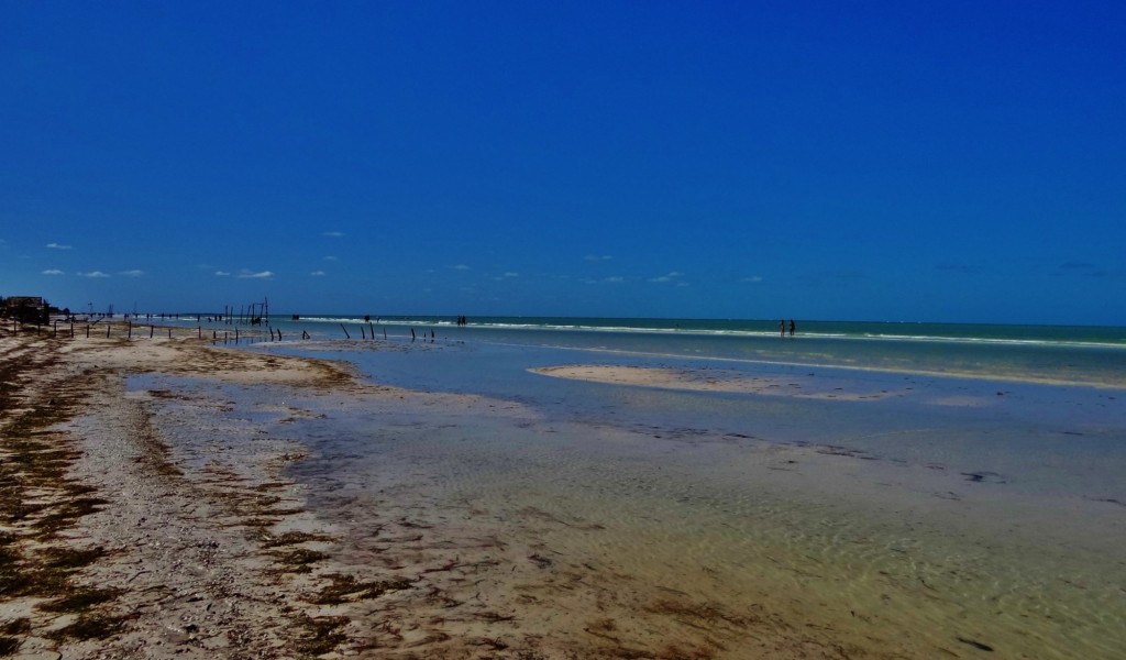 Foto: Playa Holbox - Holbox (Quintana Roo), México