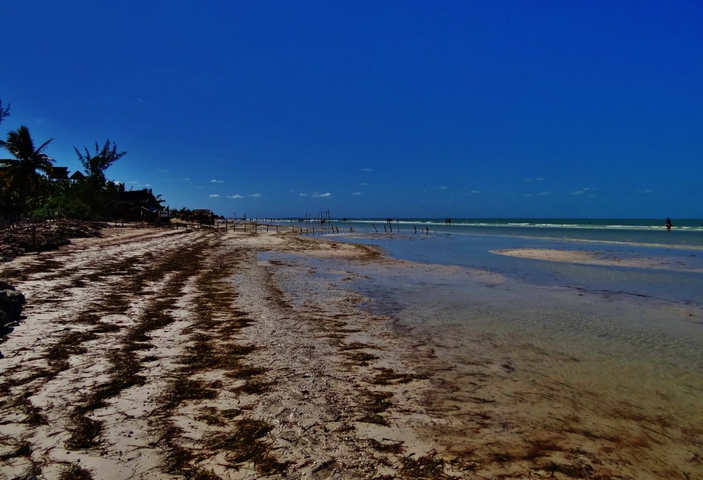 Foto: Playa Holbox - Holbox (Quintana Roo), México