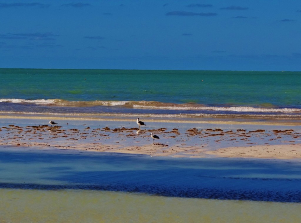 Foto: Playa Holbox - Holbox (Quintana Roo), México