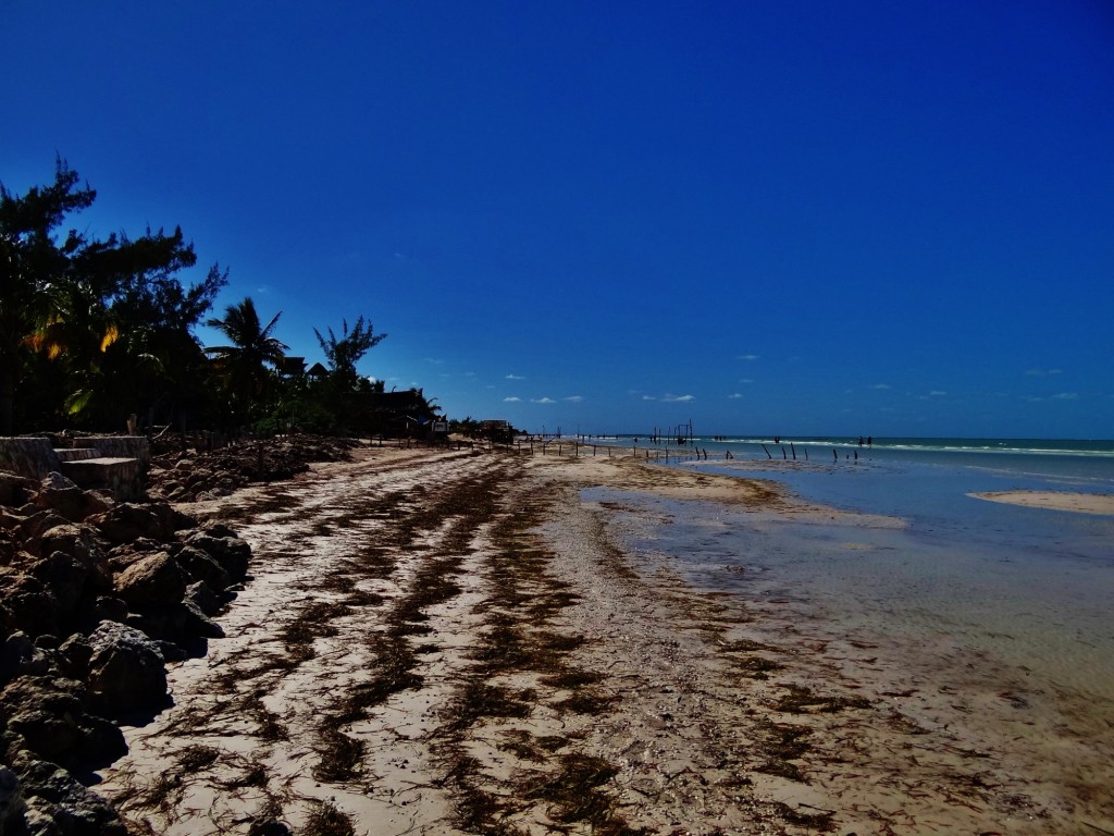 Foto: Playa Holbox - Holbox (Quintana Roo), México