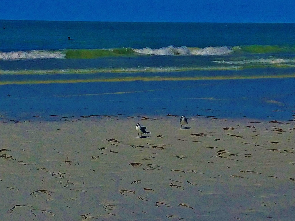 Foto: Playa Holbox - Holbox (Quintana Roo), México