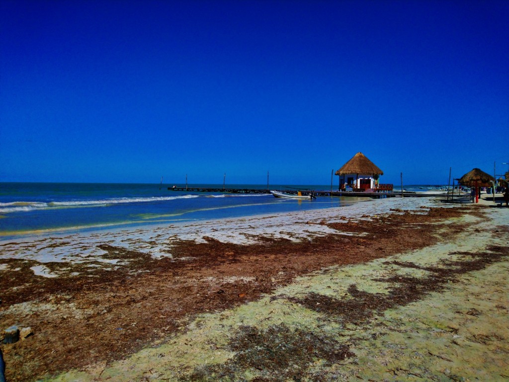 Foto: Playa Holbox - Holbox (Quintana Roo), México