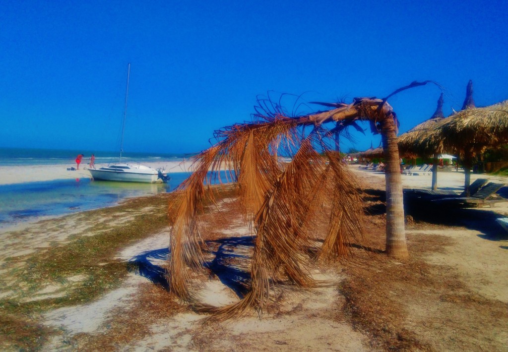 Foto: Playa Holbox - Holbox (Quintana Roo), México