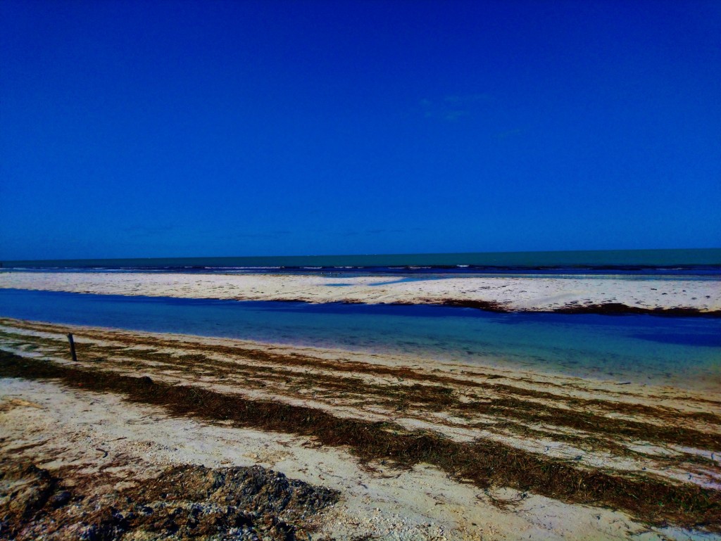 Foto: Playa Holbox - Holbox (Quintana Roo), México
